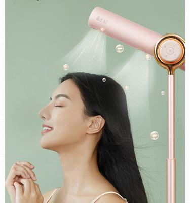 China Standing Customization High Speed 1700w Portable Flexible Electric Rotating Hair Dryer Stand for sale