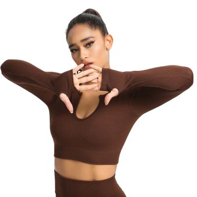 China Sportswear Fitness Yoga Workout Gym Wear Women Seamless Elastic Breathable Long Sleeve V-Neck Crop Top for sale