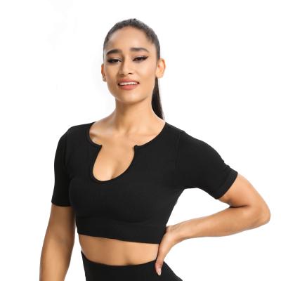 China Breathable Seamless Short Sleeve V-Neck Seamless Sports Underwear Women Gym Wear Women Gym Wear Crop Top for sale