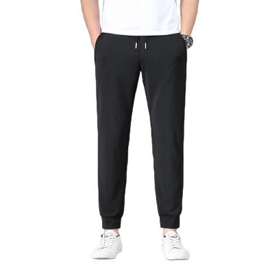 China Breathable Quick Dry Men's Casual Harem Full Length Pants Sports Pants for sale