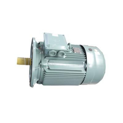 China China Y2 Series Totally Enclosed 3 Phase Induction Motor High Quality for sale