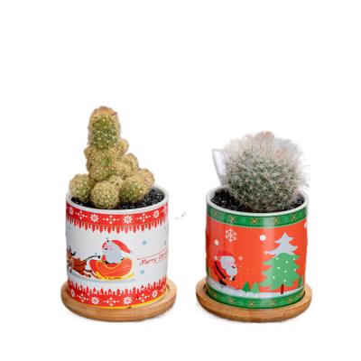 China Wholesale Breathable Ceramic Flowerpot Christmas Decorations for sale