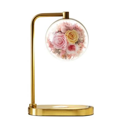 China Creative Hot Selling Modern Luxury Metal Bases Decorative Bedside Led Table Lamp for sale