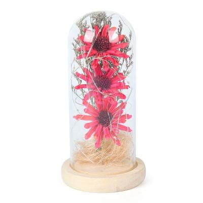 China Factory Wholesale Eco-Friendly Mini LED Light Lamp Clear Glass Dome With Flowers With Wooden Base For Valentine's Day Gift for sale