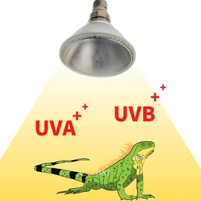 China Metal Halide Lamp Pet Reptile Fill UVA UVB Light Heater Par20 Par30 Par38 All-in-One Par 38 Light for sale