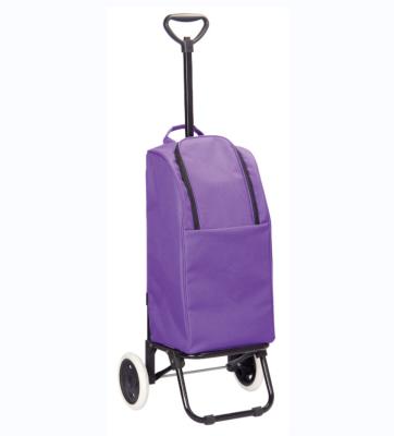 China Convenience Manufacturer Portable Shopping Trolley Bags Supermarket 6 Customized Wheels Riding Shopping Cart for sale