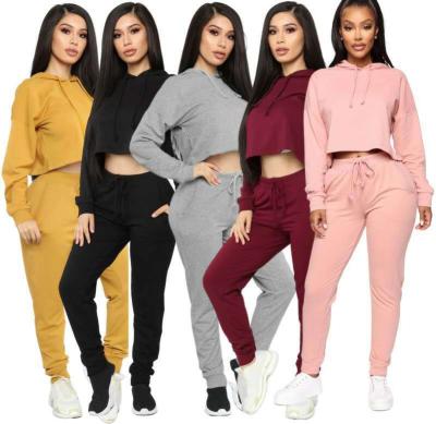 China QUICK DRY cropped hoodie woman sweatshirt set women hoodies for women for sale