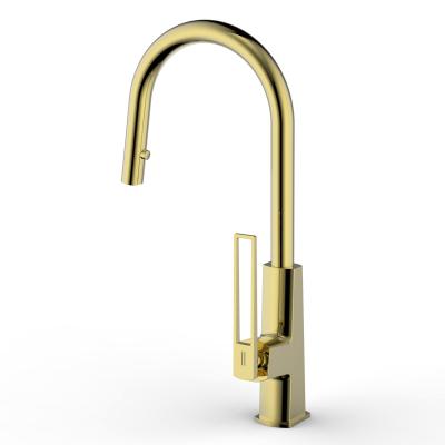 China Metered Faucets Swept Gold High Arc Kitchen Faucet With Pull Down Sprayer RV Kitchen Sink Faucet Commercial Single Lever Laundry Faucet Brass for sale