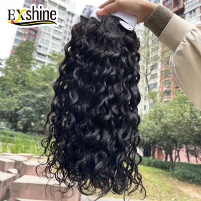 China Other Best Selling Exshine Indian Grade 10A Virgin Cuticle Lined Hair Bundles Hair Closure Hair Vendors for sale