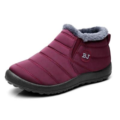 China 2021 New Fashion Trend Amazon Winter Ankle Boots Ladies Winter Snow Boots Daily Life Zupper Bag 3-7 Days Warm Durable Waterproof NC; ZHE for sale