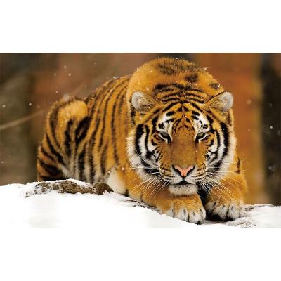 China Wild Noise Art Animal Wall Picture of Tiger Landscape Painting Print Modern Jungle Canvas for Living Room for sale