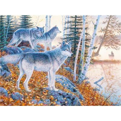 China Diamond Painting Full Square Autumn Diamond Embroidery Wolf Animal Rhinestone Modern Picture Handmade Gift for sale