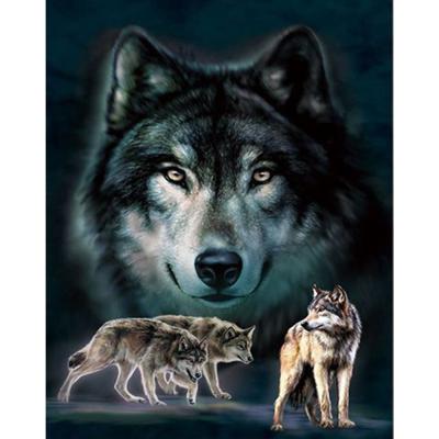 China Modern 5D DIY Diamond Painting Black Wolf Animal Diamond Embroidery Cross Stitch Home Decoration Gift for sale