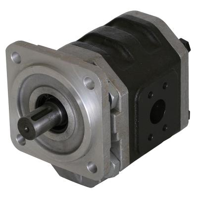 China Hydraulic Oil Cast Gear Pump for sale