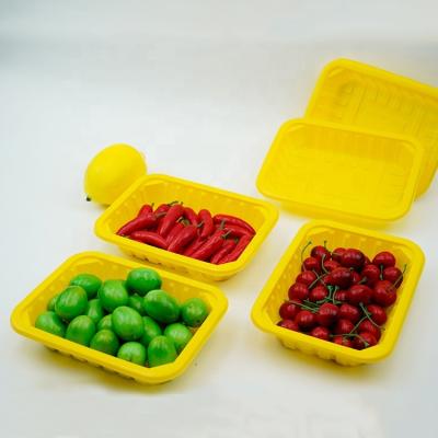 China Wholesale Disposable Food Packaging Tray Vacuum Form Tray pp Disposable Food Trays for sale