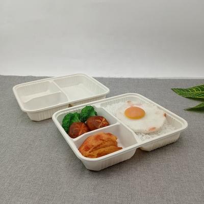 China Eco Friendly Custom Microwavable Food Packaging Food Containers 3 Compartment Biodegradable Plastic for sale