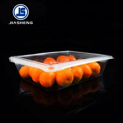 China Plastic Transparent Blister PET Fruit Container Eco - Friendly For Blueberry Box for sale