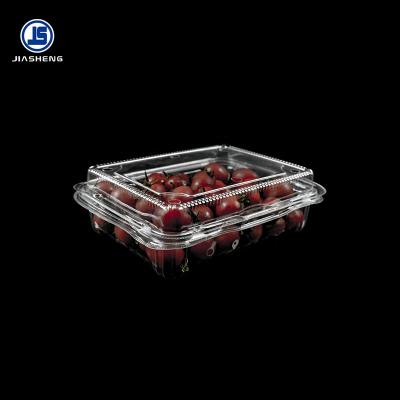 China Disposable Wholesale Plastic Fresh Fruit Clamshell Packaging Clean Box Eco - Friendly for sale