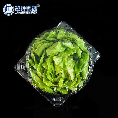 China Convenient Clear Blister Plastic Lettuce Clamshell Packaging Box for sale