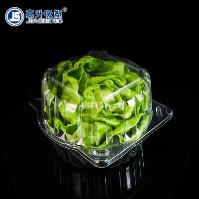 China Free Sample Disposable Vacuum Shaped Plastic Lettuce Blister Tray Lettuce Packaging for sale