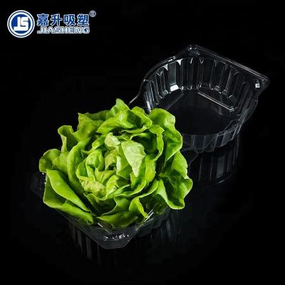 China Agriculture Plastic Clear Blister Clamshell Packaging For Lettuce for sale