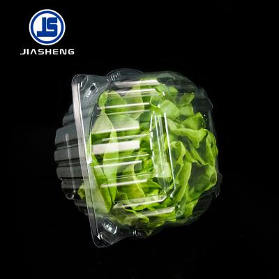 China Agriculture Plastic Blister Lettuce Clamshell Crisper Wrapper For Live Lettuce for sale