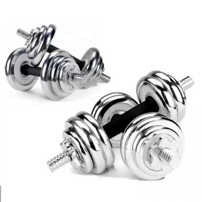 China Cast Iron 45lb 50kg 30 Gym Dumbbell Free Lifting 60 110 Lbs Equipment Weights Chrome Set Dumbbells for sale