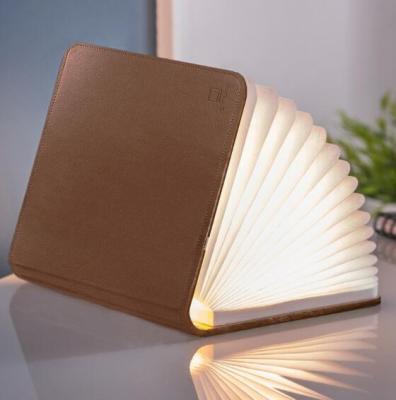 China Custom Mini LED Book Light Education Shenzhen Factory USB Rechargeable Book Lighting Lamp for sale