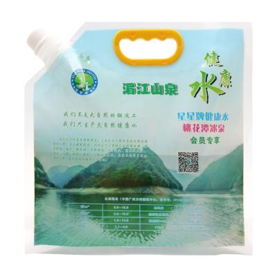 China Factory Wholesale Custom Printed Water Vacuum Packing Moisture Proof Liquid Laminated Nylon Holder Up Handle Bag With Spout for sale