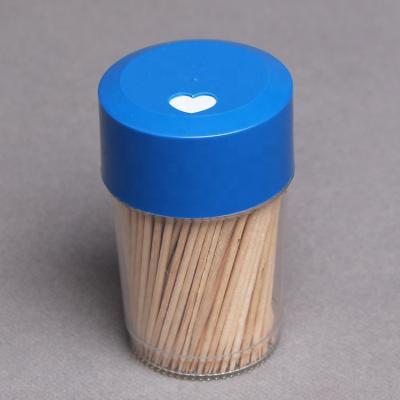 China Disposable all kinds of high quality toothpicks bottle and plastic toothpicks dispenser for sale