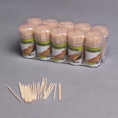 China Disposable Chinese Bamboo Toothpicks Packed In Tooth Pick Colorful Plastic Bottle for sale