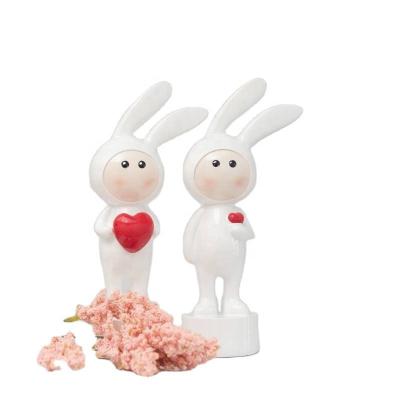 China Africa Bull Rabbit Decoration New Year's Day Gift Cartoon Couple Central Statistical Wholesale Wind Crafts Resin Creative Home for sale