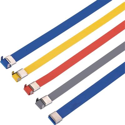 China Stainlss Metal Steel SS316 Cable Ties for sale