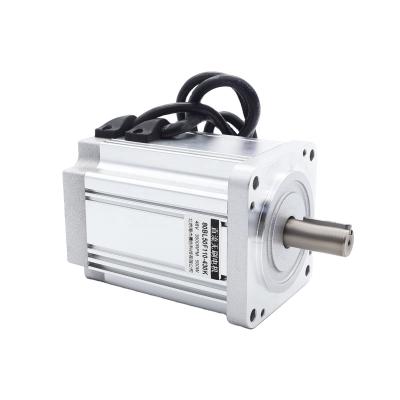 China Car 48V 500W Low Voltage DC Servo Motor Drive Controller Brushless Package Torque Output Brushless DC Motor for sale