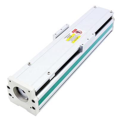 China Precision machine laser scale handwheel low price 600mm stroke ball screw slide linear motion guide rail module for engraving for sale