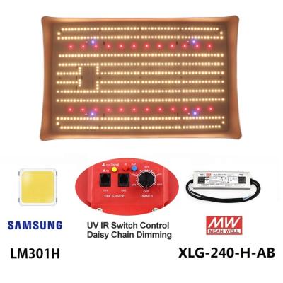 China Acr design ensure less optical loss lm301h led grow light for professional indoor factories customized spectrum and logo IR UV separate control grow lights 240W for sale