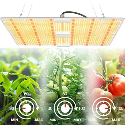 China Seed Start Led Plant Grow Light Full Spectrum IR UV High PPFD 660nm LED Grow Light Tips Led Grow Lights For Indoor Plants for sale