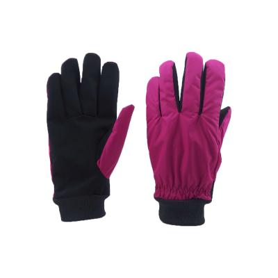 China Warm Winter Heated Waterproof Thermal Gloves Windproof Gloves - For Running Outdoor Sports Motoring, Cycling, Riding For Women And Men for sale