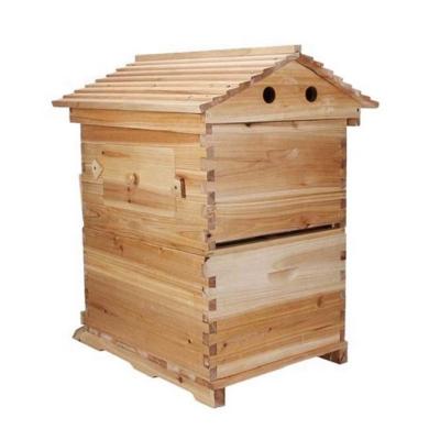 China Practical professional bee self flow Honey Hive for wood bee product square 2021 CN new wood color fir wood; High quality CIS for sale