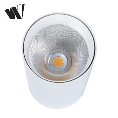 China Contemporary Outdoor Mounted Lamp Surface Mounted Round Bathroom 20w 30w COB Led Ceiling Light for sale