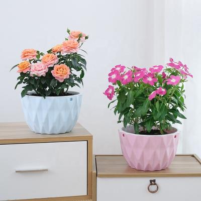 China Wholesale Indoor Plastic Flower Pots Garden Hanging Garden Succulent Plant Pots Flower Planter Hanging Planter for sale