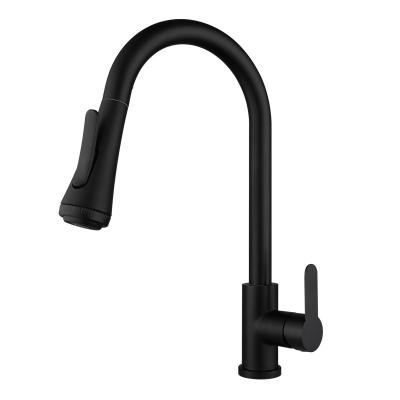 China Pull Out Quality Price Guaranteed Suitable Spray Sink Modern Bathroom Kitchen Pull Out Black Kitchen Faucet for sale