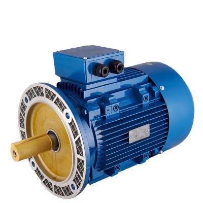 China Hotel Manufacturer High Torque 220V 380V Induction Electric Motor GUOMAO for sale