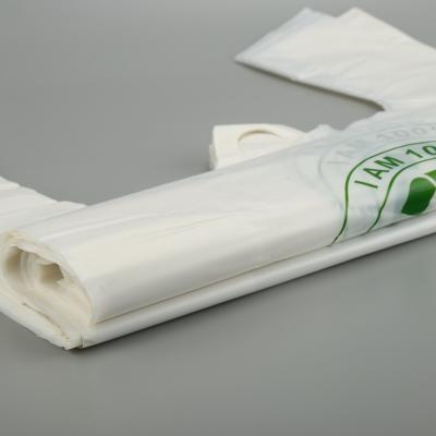 China BIODEGRADABLE Eco Friendly Biodegradable Wholesale Custom Logo Packaging Printing Shopping Plastic Bags for sale