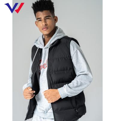 China Anti-wrinkle logo custom autumn and winter casual men's zipper stripper jacket vest for adult men for sale