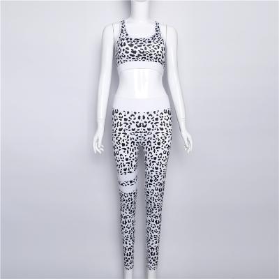 China Antibacterial Hot Selling Fitness Top And Waisted Legging Women Yoga Set for sale