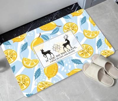 China Modern Soft Ground Mat Toilet Mat Entryway Modern Soft Ground Carpet Toilet Mat Diatom Absorbent Mud Absorbent Diatom Diatom Kitchen Quick Drying Mat for sale