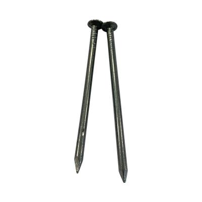 中国 construction nails high quality 2.5 inch common nail Building Construction Material Fixing 販売のため