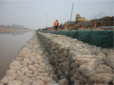 Chine fil de longueur du mur de soutènement de boîte de Gabion de taille de trou de 80*100mm 2.0m tissé à vendre