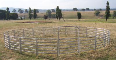 China El ganado artesona el cerdo bajo de la barra oval 6 que el ganado del cercado de alambre galvanizó la cerca Panels del ganado en venta